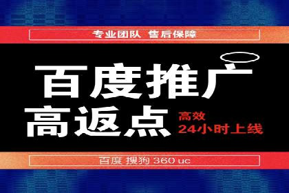 竞价广告案例分析：品牌成功之道